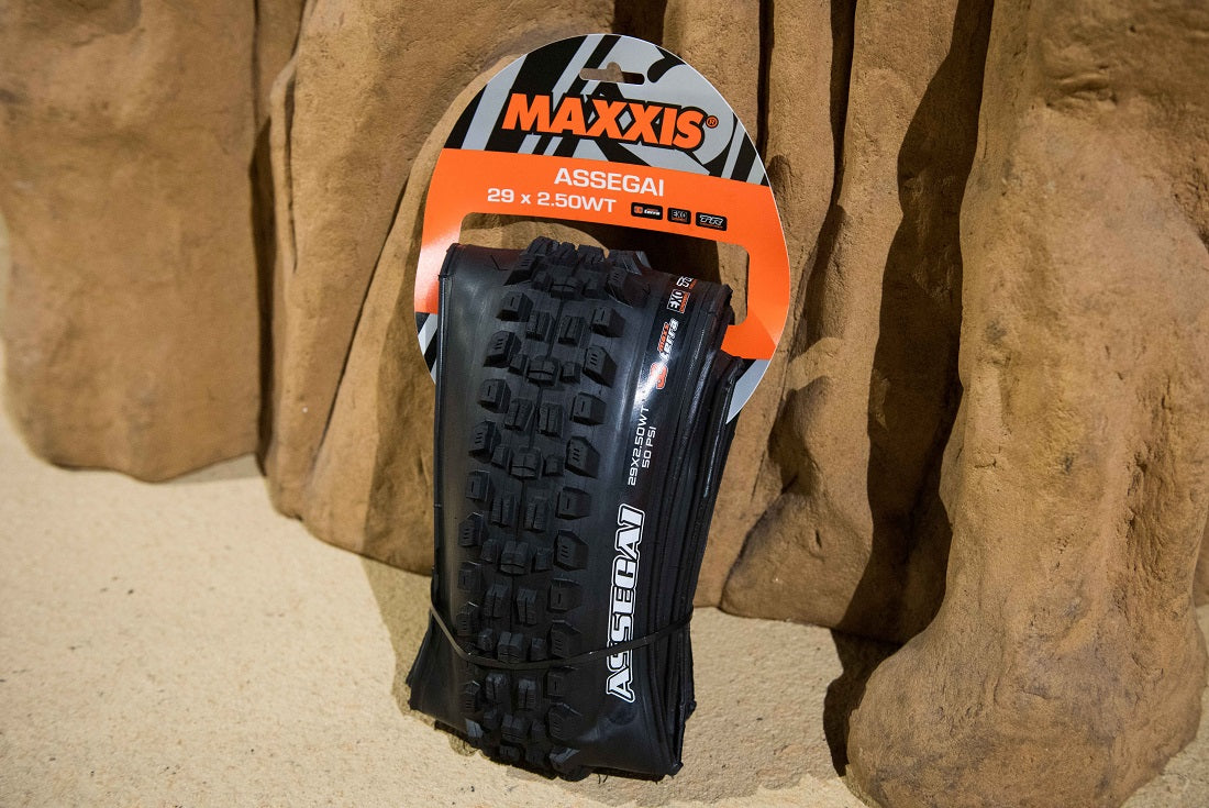 マキシスMINION DHR II & ASSEGAI 29インチタイヤ