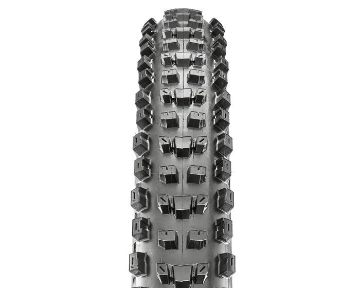 Maxxis Dissector 3C Maxx Terra EXO TR Tyre buy now at For The Riders.