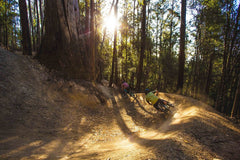 Australian MTB Destinations: Maydena