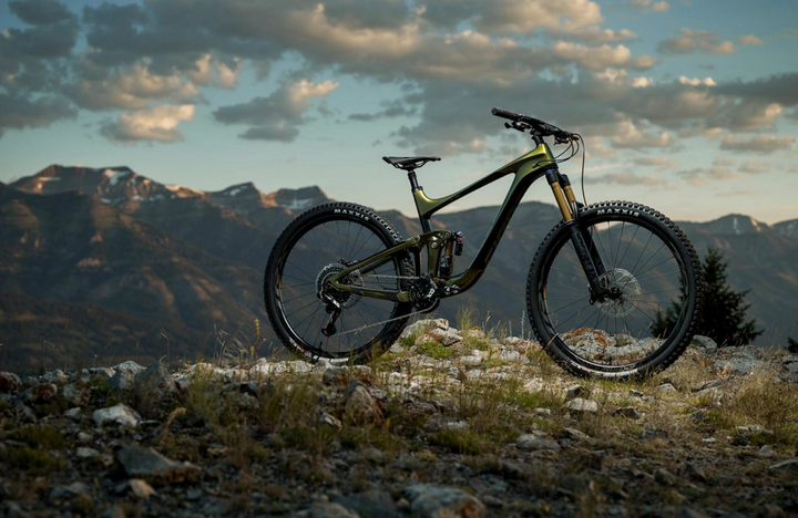 2020 Giant Reign 29" Overview