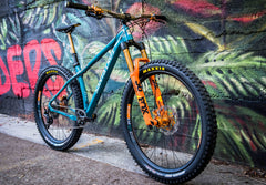 Charlie’s Santa Cruz Chameleon