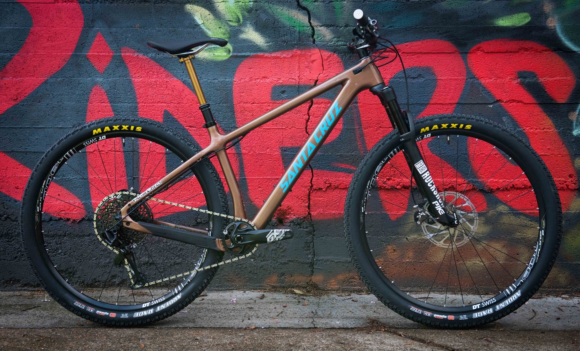 Carbon chameleon santa discount cruz