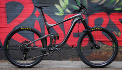 Hayden's Giant Reign 29"