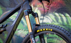 Evan's Ibis Ripmo