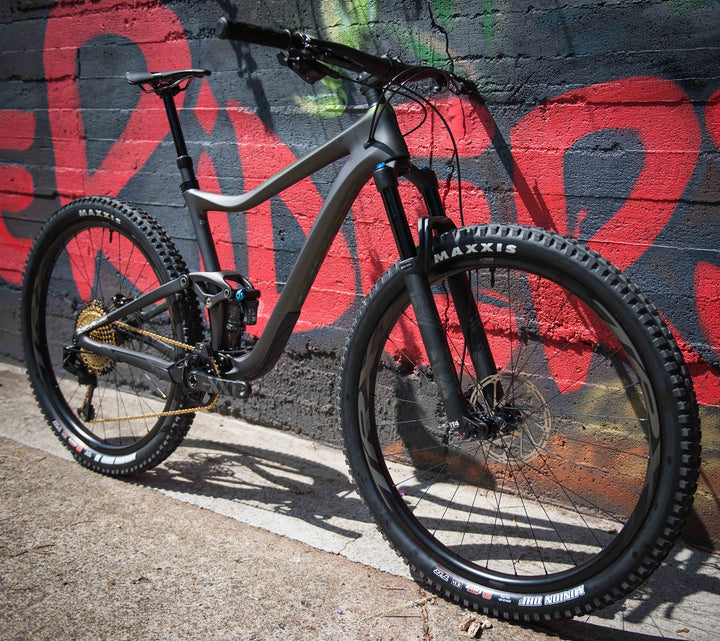 Giant Trance Advanced 29" custom mountain bike Brisbane For The Riders 