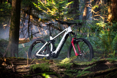 Norco Range VLT E-Bike is E-Live
