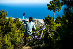Santa Cruz Bullit, E-Bike Madness