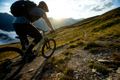 New From Cruz, Heckler MX
