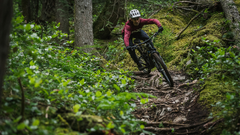NEW Norco E-Bike Line-up