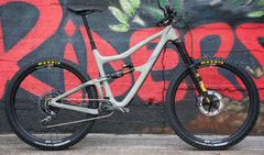 Quentin Ibis Ripmo