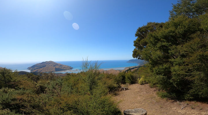 Australian MTB ride guide for Nelsons's Cable Bay Adventure Park