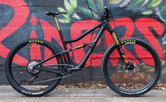 Stephen's Ibis Ripley