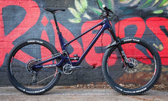 Peter's Forbidden Druid