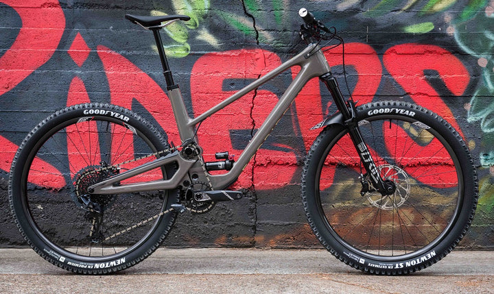 For The Riders custom mountain bike Forbidden Druid