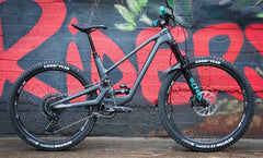 David's Forbidden Druid