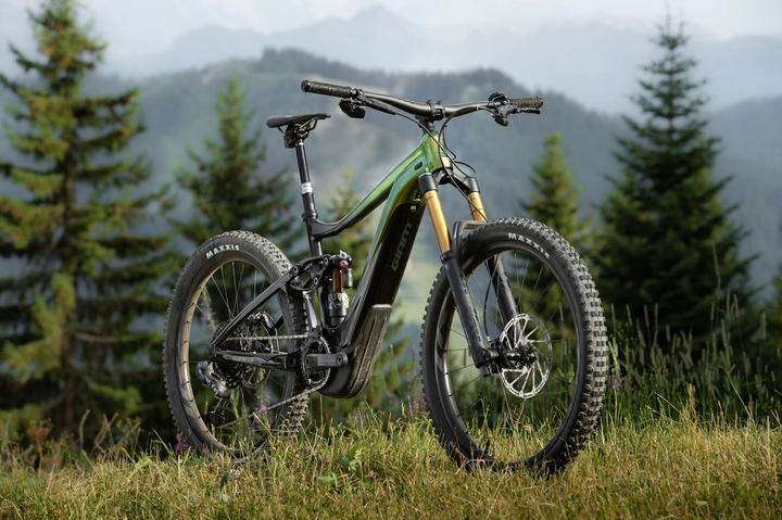 2020 Giant Reign E+ Pro Bike