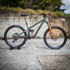 The 2022 Pivot Firebird