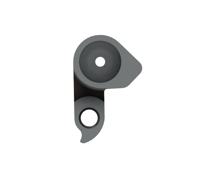 Derailleur Hanger 